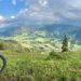 Wie viel wiegt ein E-Bike?