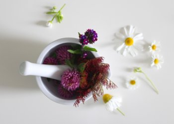 Mehr innere Ruhe dank natürlicher Heilmittel