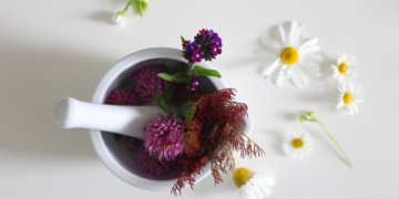 Mehr innere Ruhe dank natürlicher Heilmittel