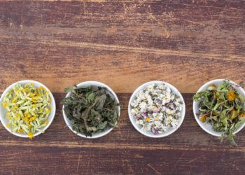 Brennnessel-Tee: Die Eigenschaften der Pflanze