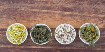 Brennnessel-Tee: Die Eigenschaften der Pflanze