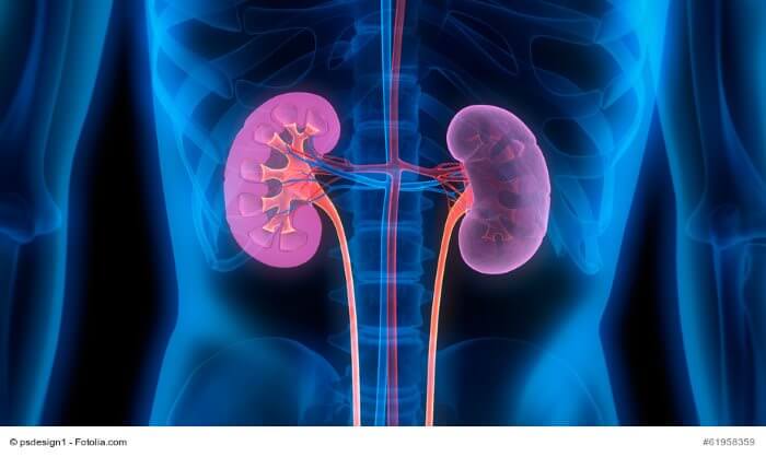 Nierenbeckenentzündung (Pyelonephritis) – Ursachen, Symptome, Therapie