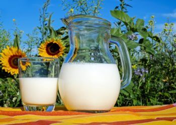 Ist Milch gesund oder ungesund? – ein Überblick
