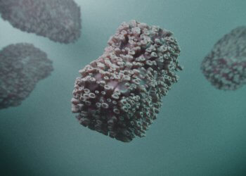 Affenpocken erhalten neuen Namen.