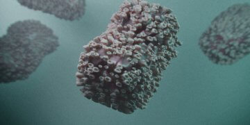 Affenpocken erhalten neuen Namen.