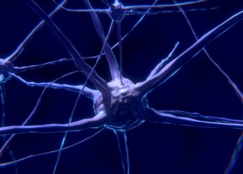 Neuronen