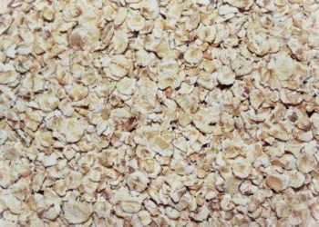 Haferflocken – gesund und kraftvoll ins Leben