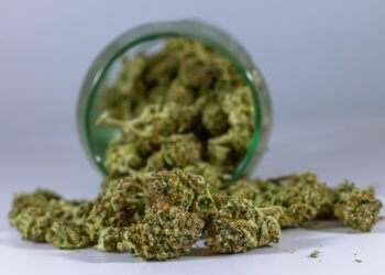 Cannabis kommt in der medizinischen Anwendung zum Einsatz!