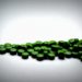 Chlorella – Wundermittel aus dem Wasser