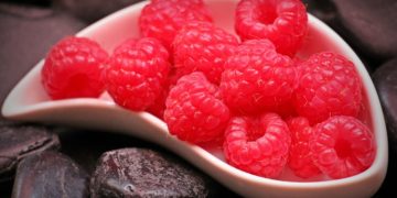Himbeeren – Auch gesund oder wirklich nur lecker?