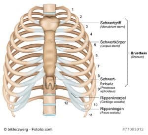 Vom husten rippenprellung Rippenprellung
