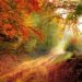 Gesund bleiben im Herbst