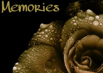 Diese Bestattungsarten sind beliebt