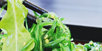 Algenöl: Das „Allroundtalent“ für die Gesundheit