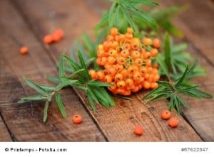 © Printemps - Fotolia.com