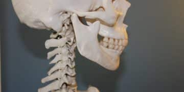 Cranio Mandibuläre Dysfunktion: Wenn Kiefer und Schädel nicht zusammenarbeiten