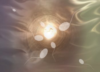 Künstliche Befruchtung: Methoden, Kostenübernahme und Chancen