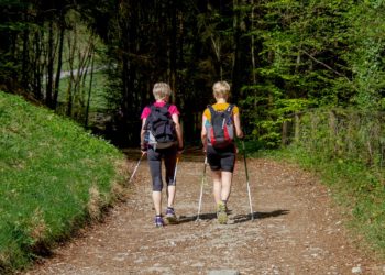 Abnehmen mit Nordic Walking – ein Überblick