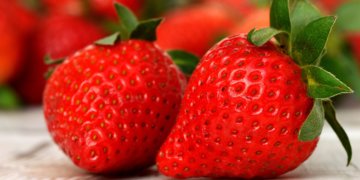 Sommeressen leicht, fruchtig und frisch