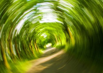 Schwindel bei Stress – welche Gegenmaßnahmen sind möglich?