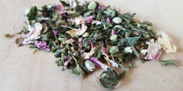 Hanftee – Wie wirkt der Tee aus der Cannabispflanze?