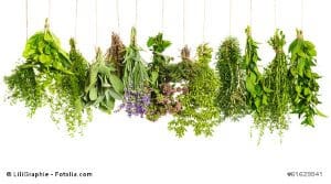 © LiliGraphie - Fotolia.com