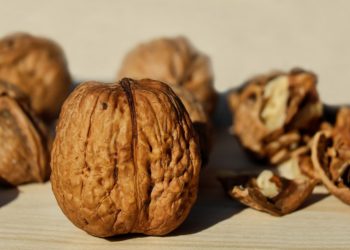 Walnuss in der Ernährung – sind Walnüsse gesund?