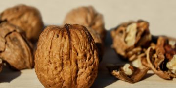 Walnuss in der Ernährung – sind Walnüsse gesund?