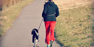 Herz und Kreislauf stärken: Übungen und Tricks für das Herzkreislaufsystem